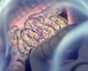 healthy gut microbiome 3d illustration