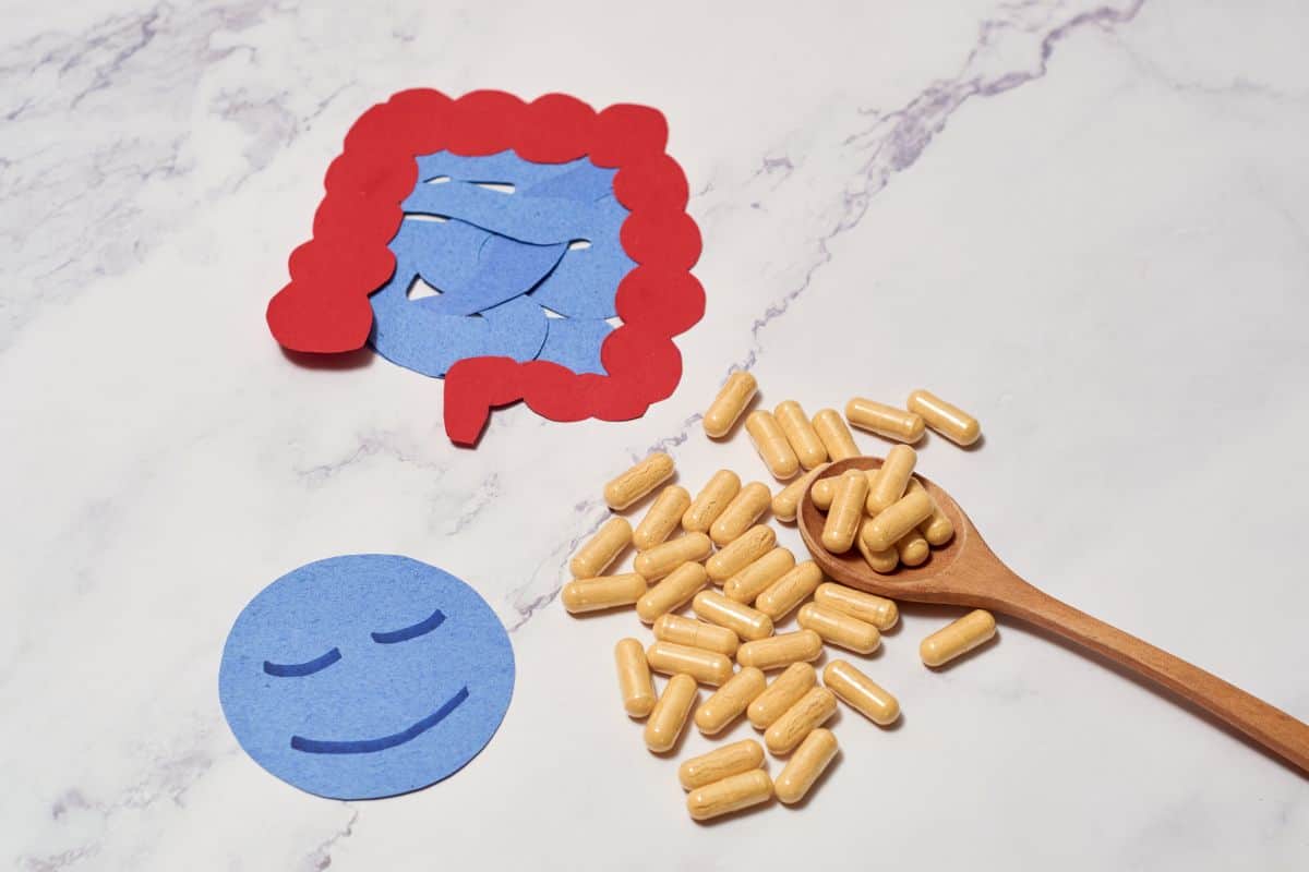 probiotic and prebiotic supplements