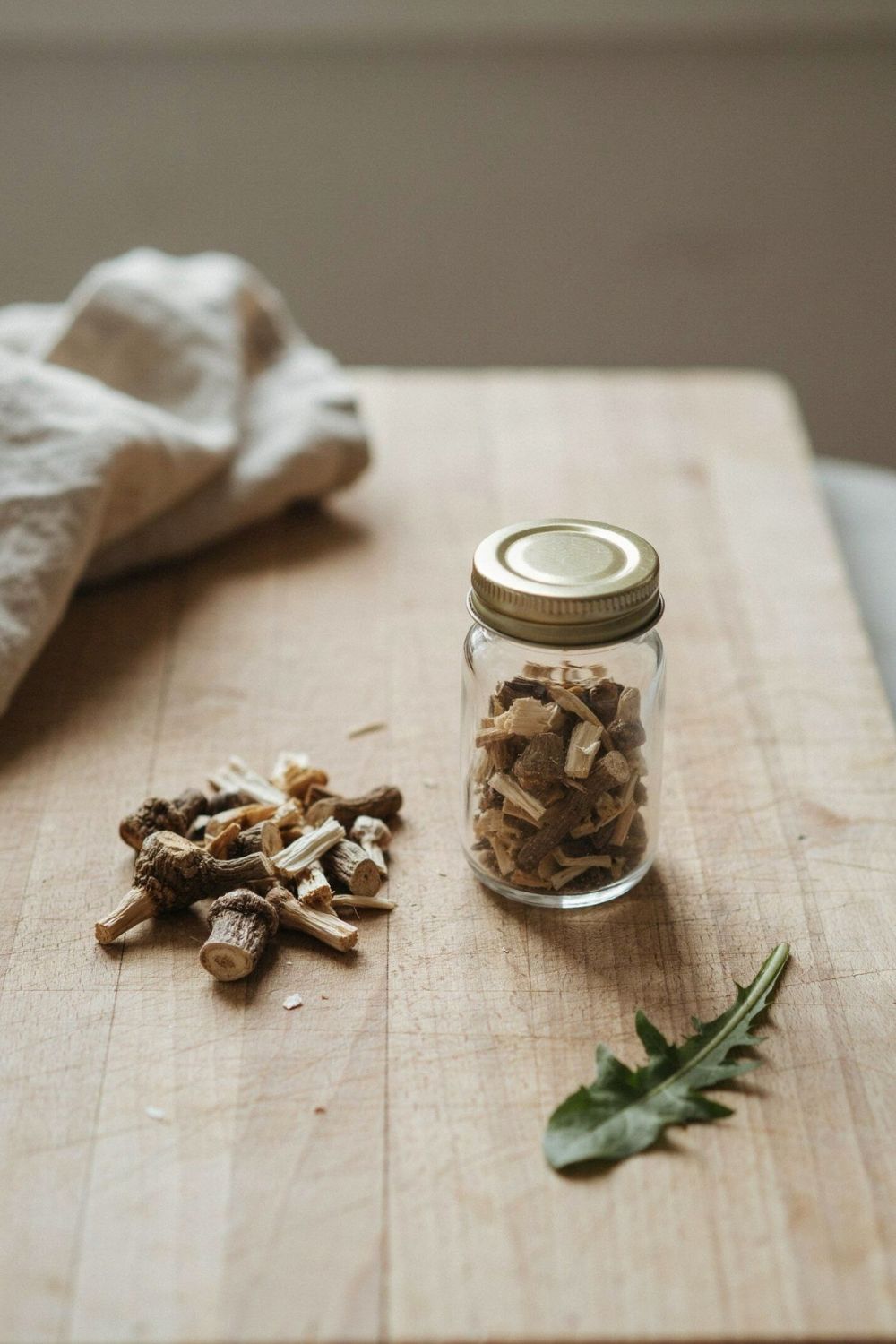 what is dandelion root