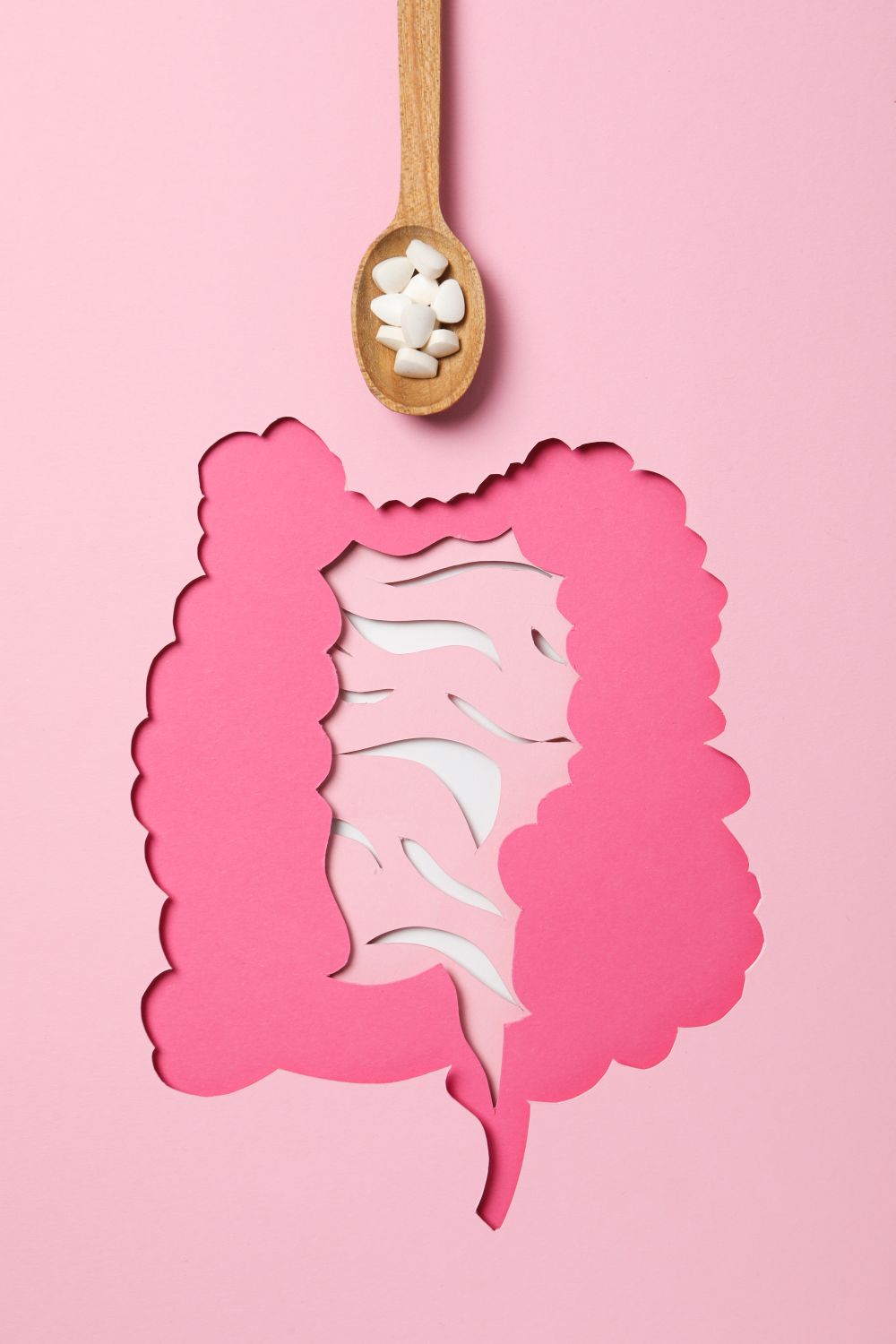 illustration of how sugar affects the gut